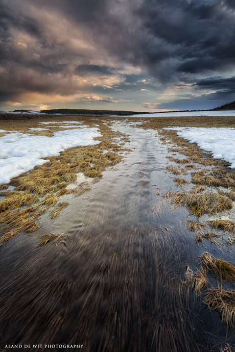 Melting Snow