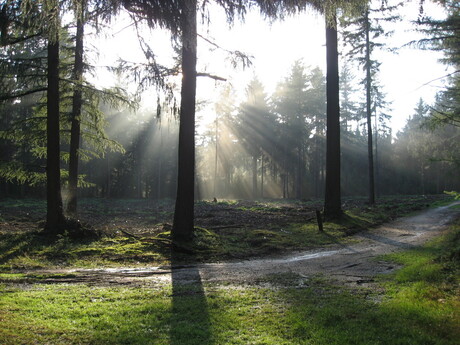 De zon staat laag in de namiddag in september