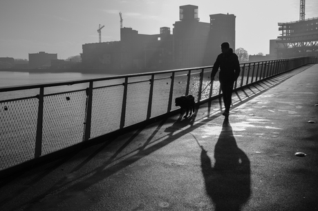 Man en hond op Rijnhavenbrug