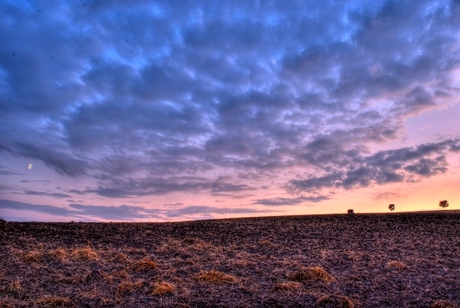 Landschap met bomen en de maan in duitsland