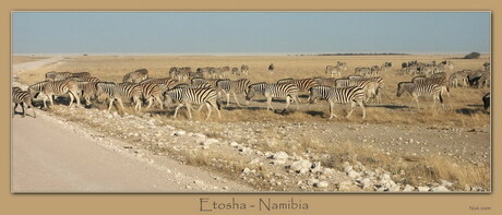 Etosha Namibia