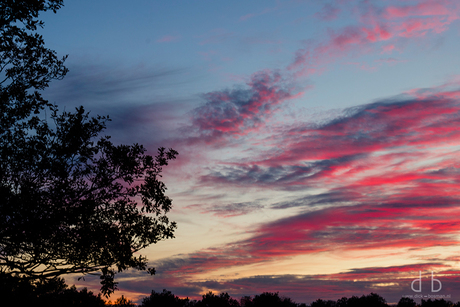 The Clouds