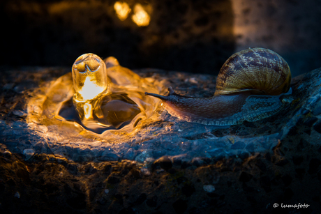 Op weg naar het licht!