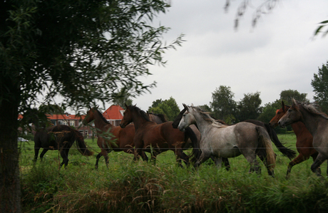 reactie op reactie