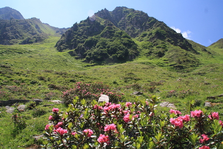 Berglandschap