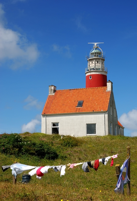 Texel 2010