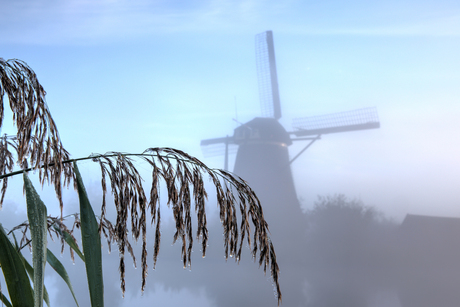 Kinderdijk 03