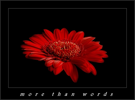 more than words