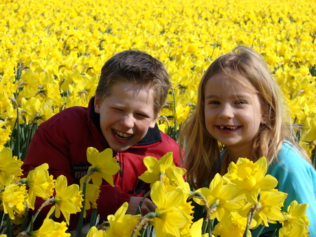 tussen Narcissen