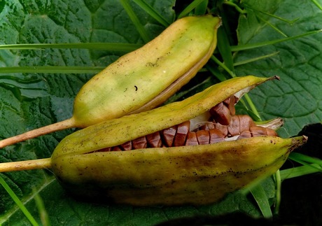 ingepakt..............