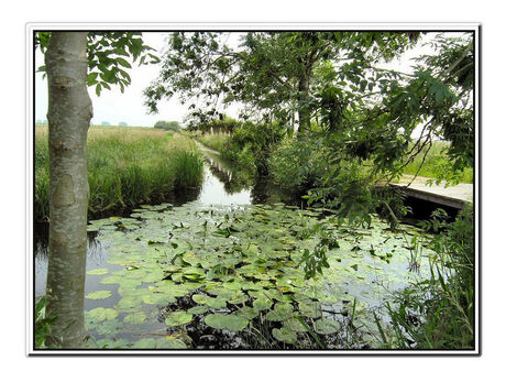 Groetjes uit de polder