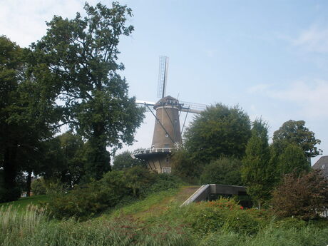 Een molen in Alkmaar