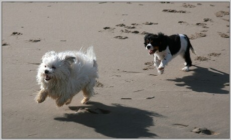 Thomas op het strand 2