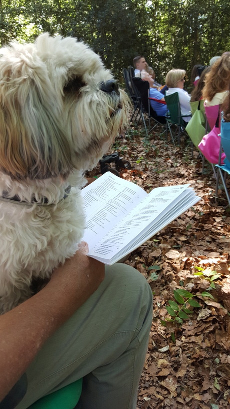 Puck luisterd aandachtig naar de preek!