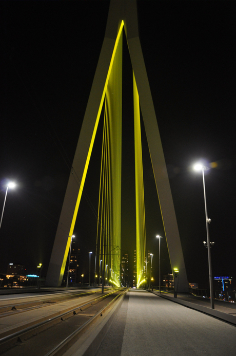 Erasmusbrug bij nacht