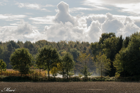 Herfstwandeling 22-10-2016-32