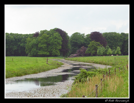 Landschap