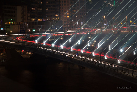 Erasmusbrug Rotterdam 2014