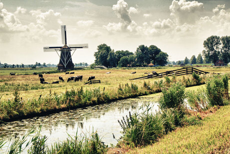 molen1ZM.jpg