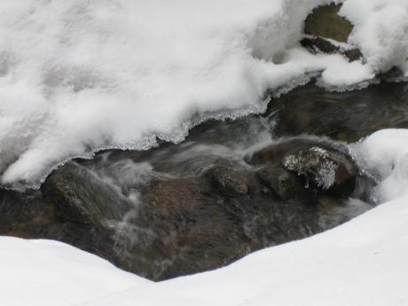 Bijna dichtgesneeuwd beekje