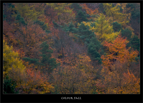 Colour Fall