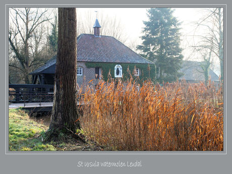 Winter Watermolen