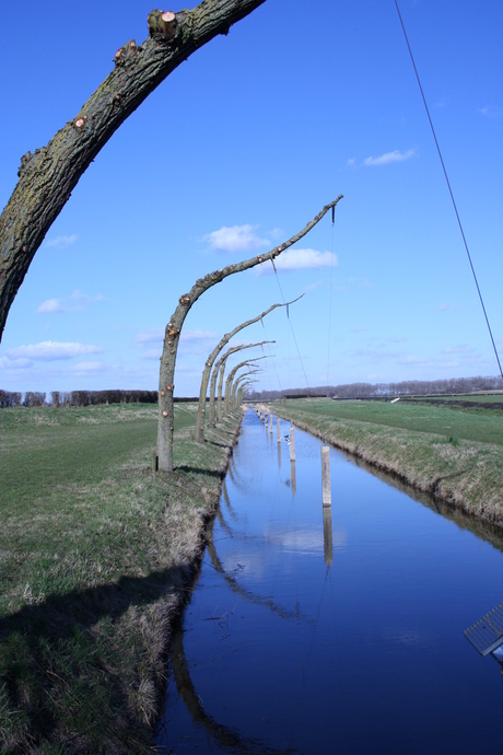 Natuurlijk Kunst