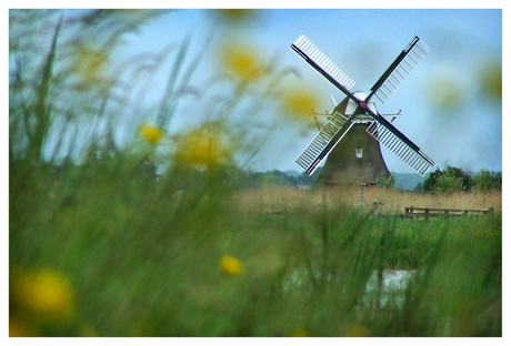 Molen