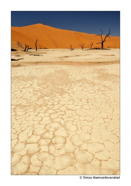 Namibian Earth