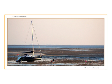 Eb aan de wadkant van Vlieland