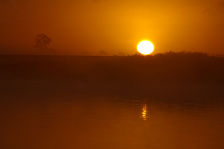 goedenmorgen