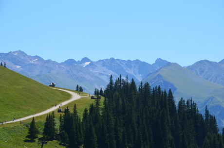 Berg Oostenrijk (1)