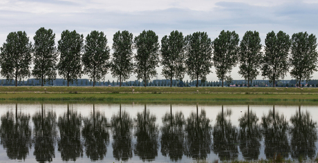 RobT.landschap,canon5dmark2,EF24-105,70mm,f8,bel.1.125.jpg