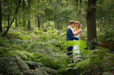 Forest love