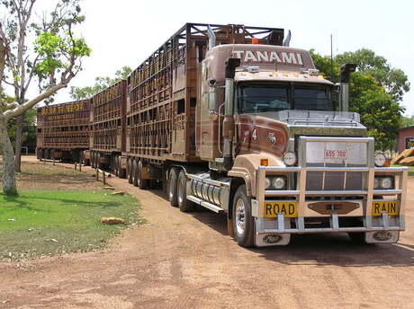 Road Train