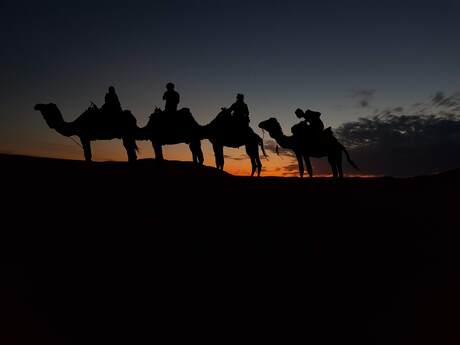 Sahara sunset