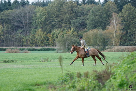 en wijd met die paardenbenen