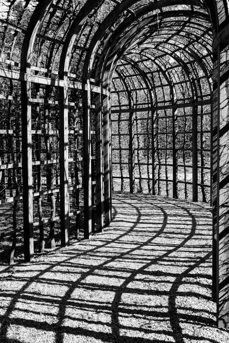 lijnenspel in loofgang