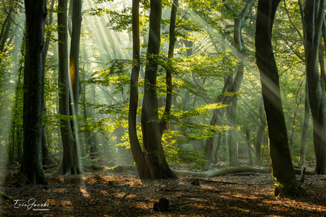 Geraakt door het licht