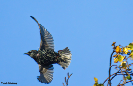 In vogelvlucht..