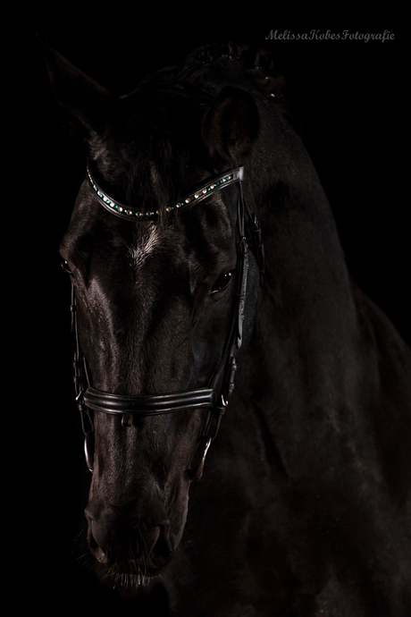 Studio fotografie met alida