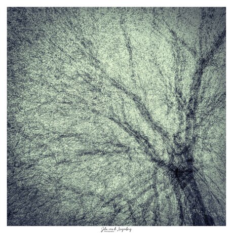 Abstract