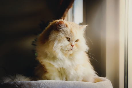 Voorbereid op de wintertijd