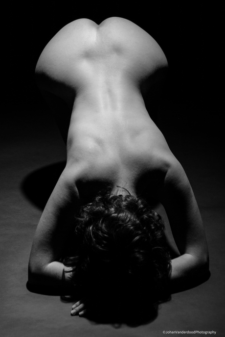 Bodyscape