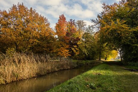 herfstbos