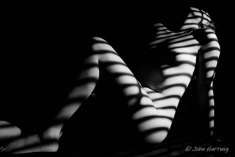 shadowshoot II