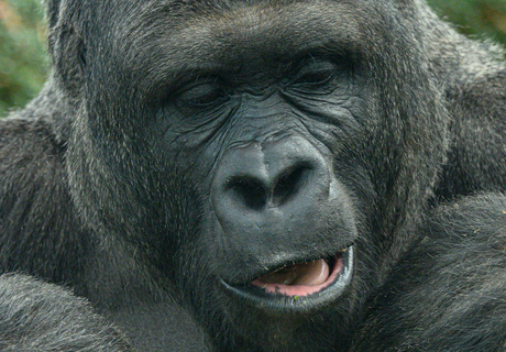 Je zou haar zo knuffelen