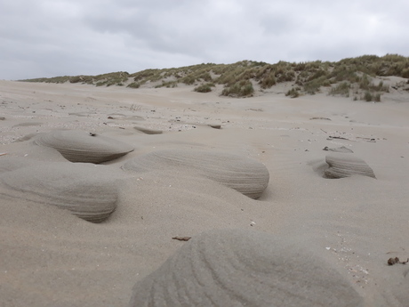 Speciaal natuurverschijnsel 