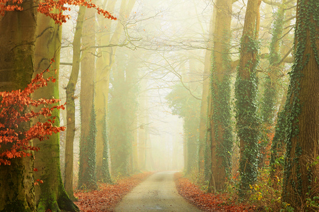 Nog een lange weg te gaan