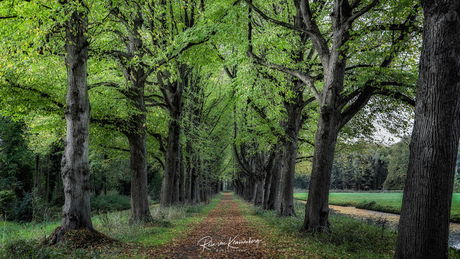 Chateau Marquette, Heemskerk